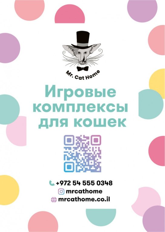 Дизайн флаера